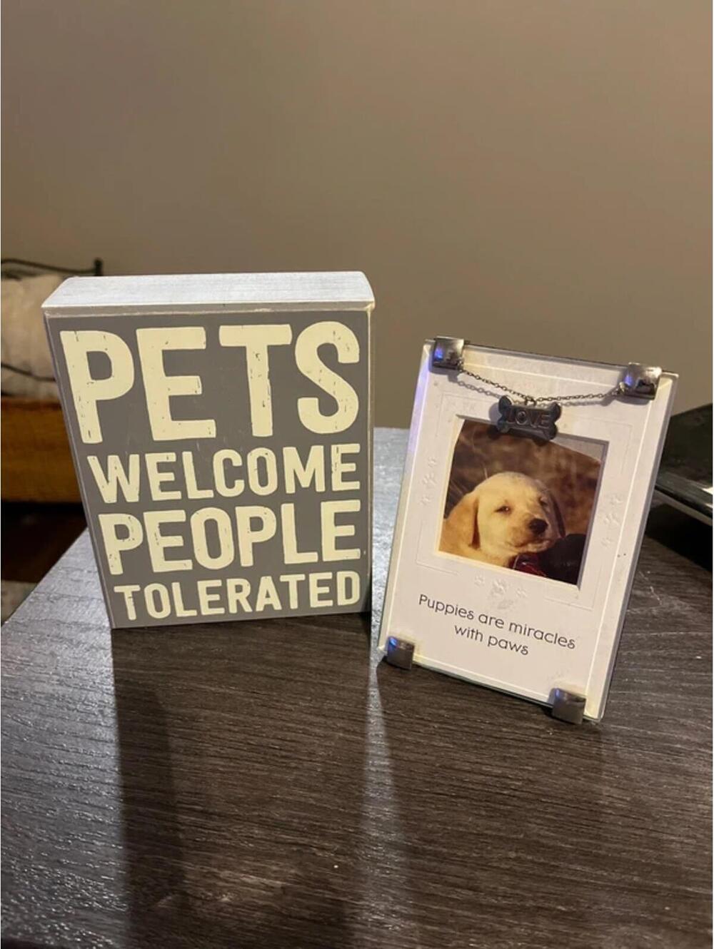 Pet home decor